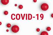 Állategészségügyi koronavírus hírek