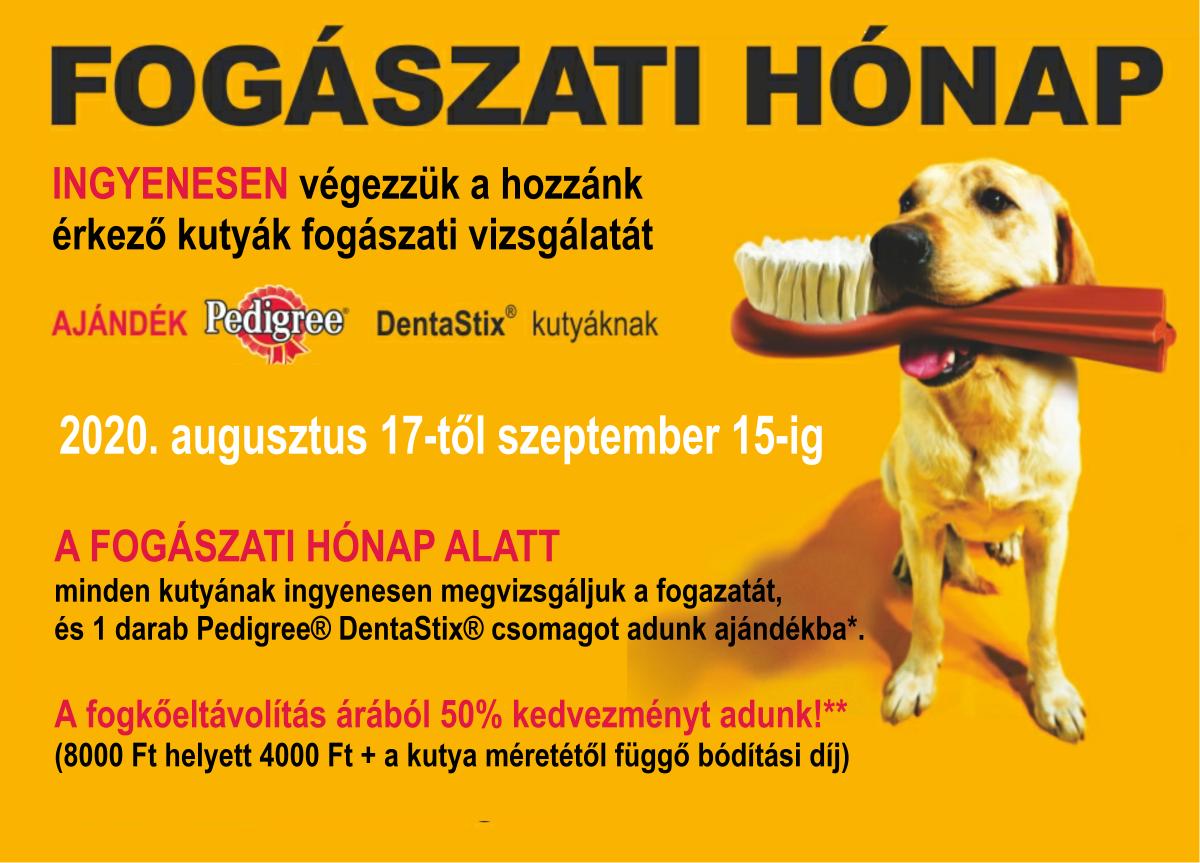 Fogászati hónap Pilisvörösváron Fogászati hónap Pilisvörösváron